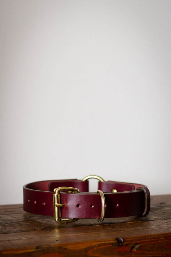 large dog breed leather collar