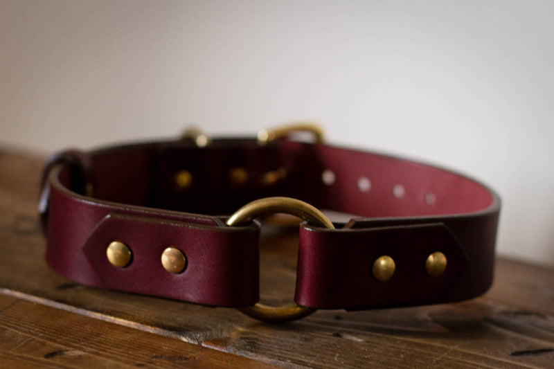 made in canada large dog breed collar