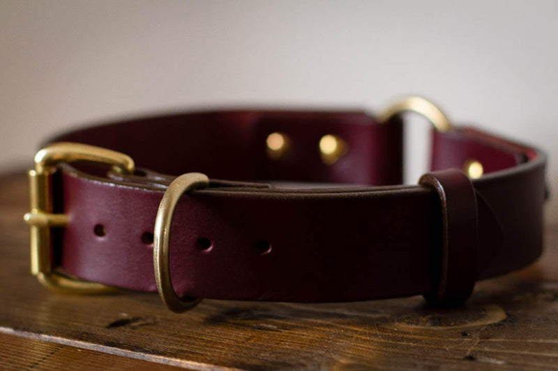 made in canada large dog breed collar