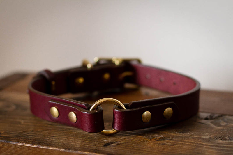 made in canada leather dog collar