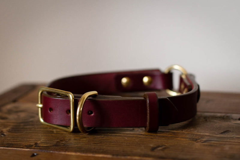 custom leather dog collar made in canada