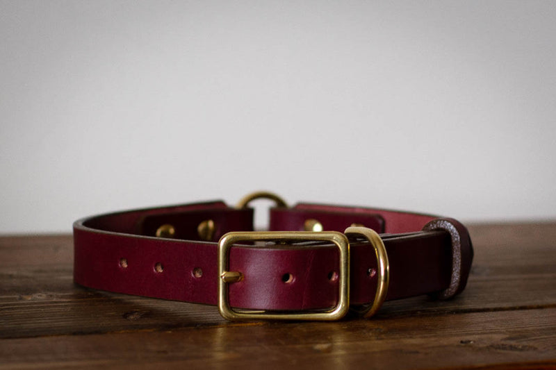 made in canada leather dog collar