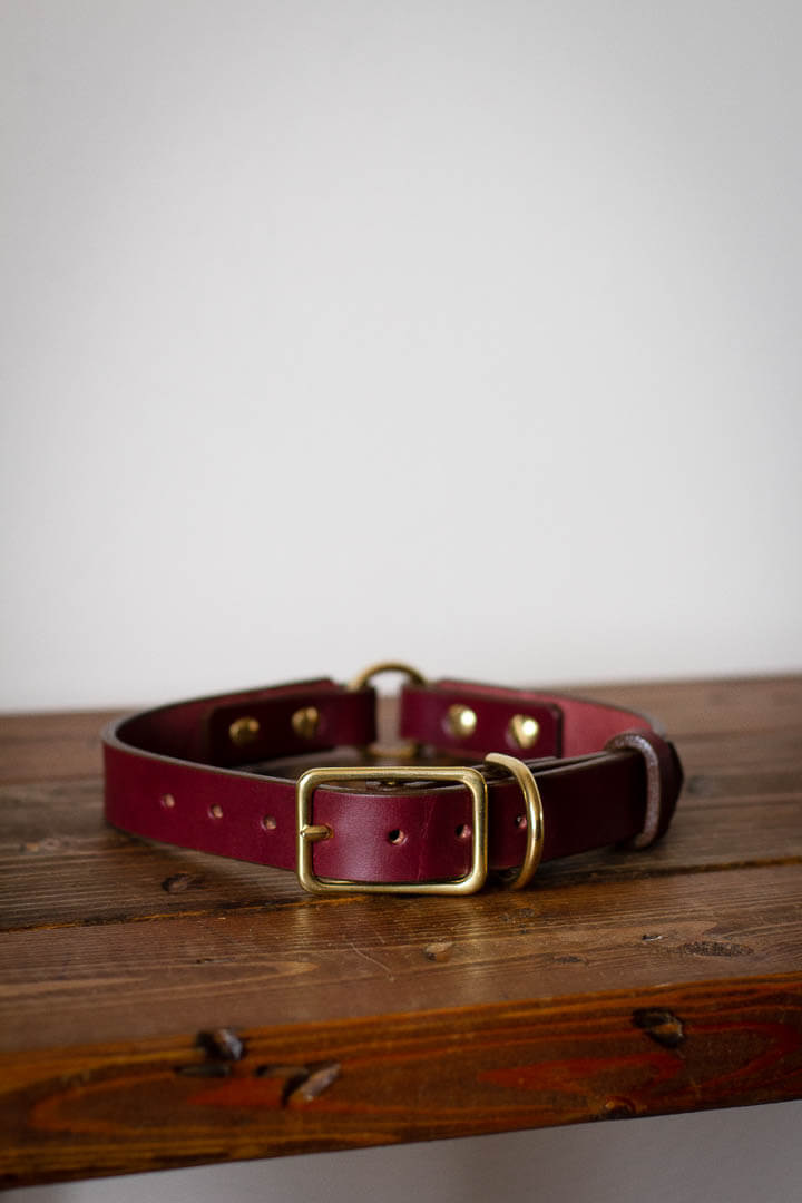 custom leather dog collar