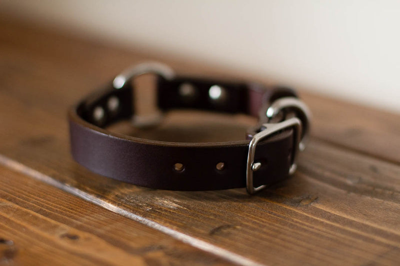 custom leather dog collar made in canada