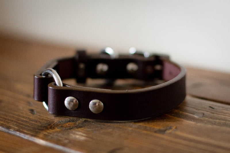 made in canada custom leather dog collar