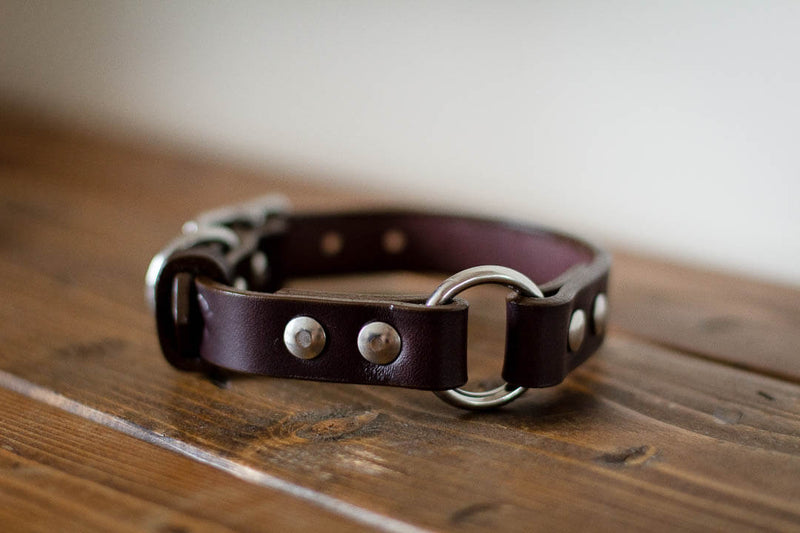 made in canada custom leather dog collar