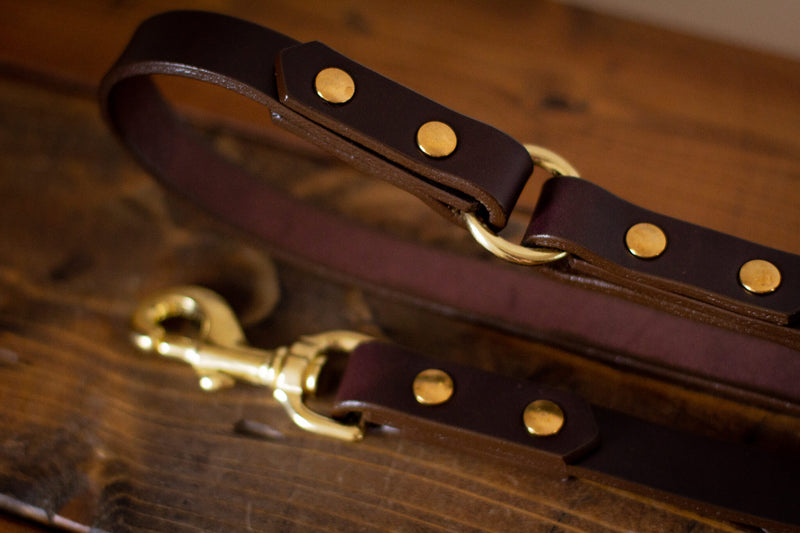 dark brown and solid brass leather dog leash